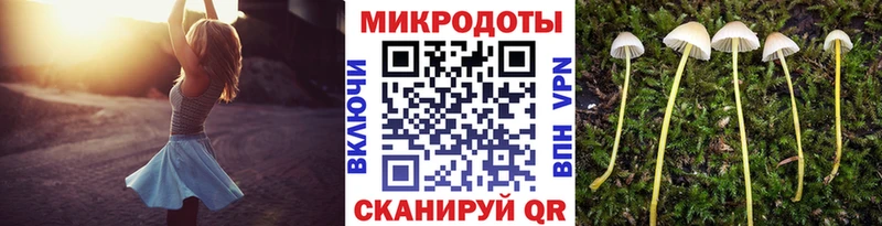 Псилоцибиновые грибы мицелий  Фролово 